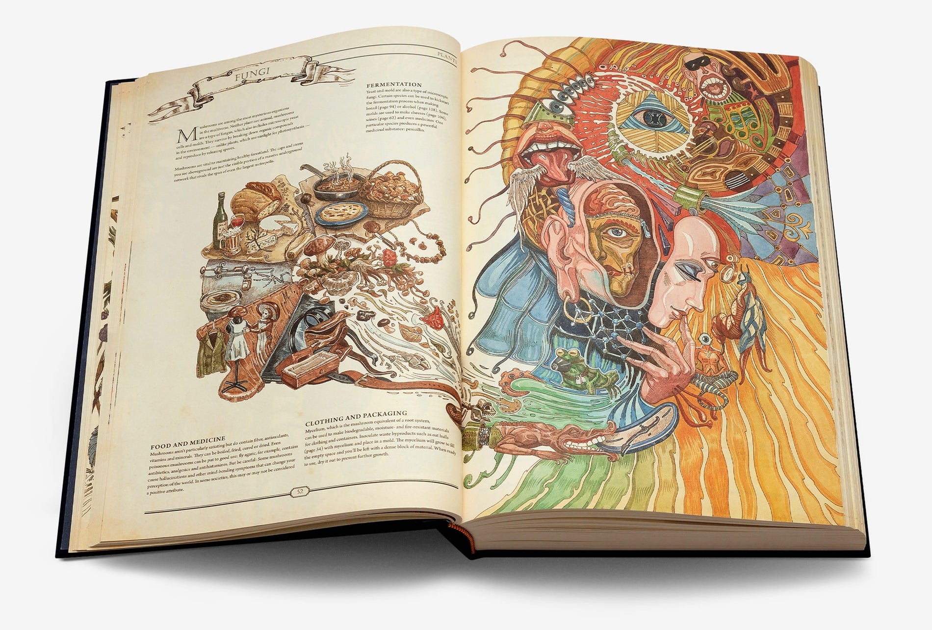 「The Book」：究極の文明再構築ガイド 英語版 image #4