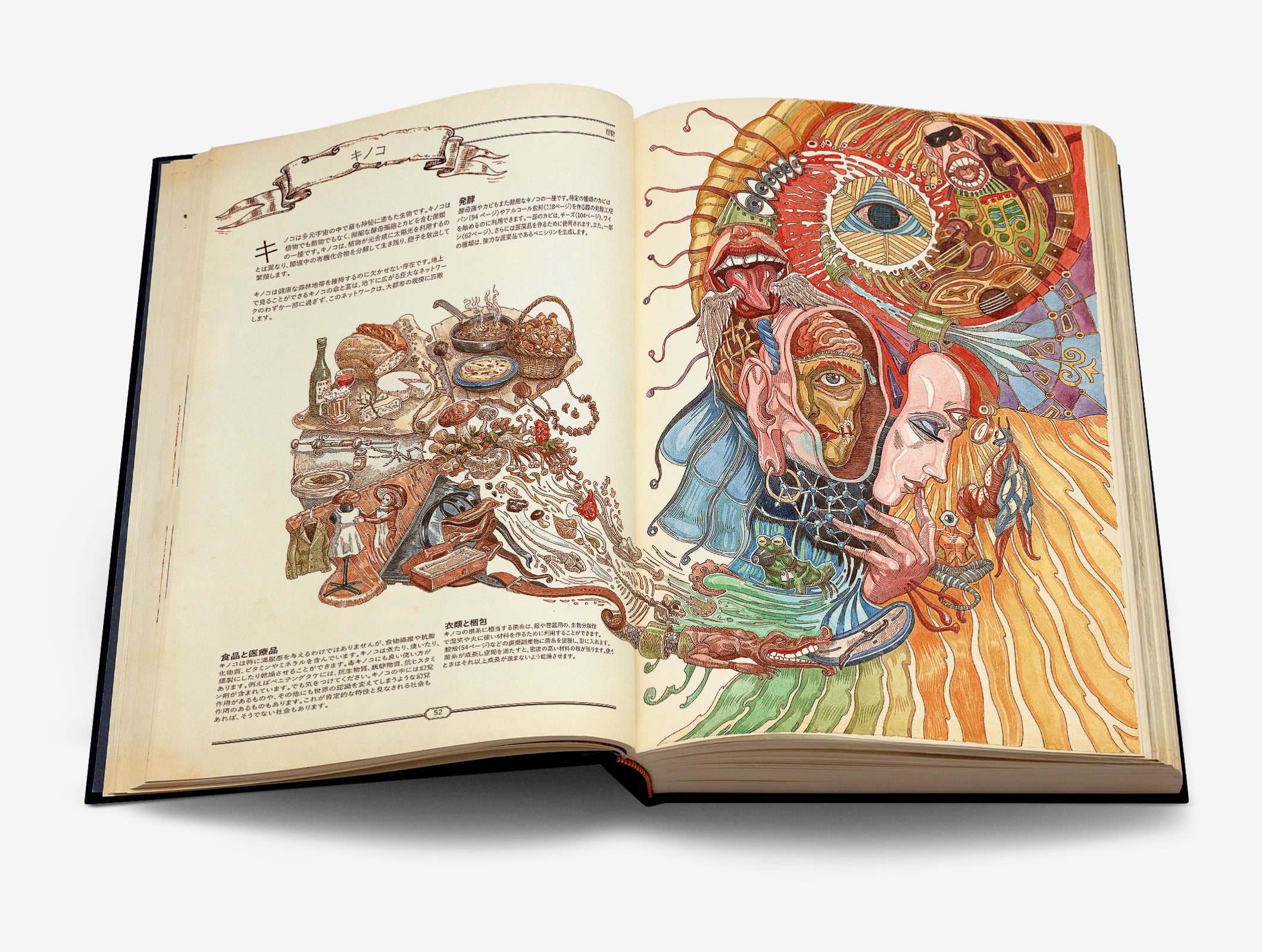 文学・小説 THE BOOK HUNGRY MINDS THE BOOK Hungry Minds(著) - ミーア | 版元ドットコム