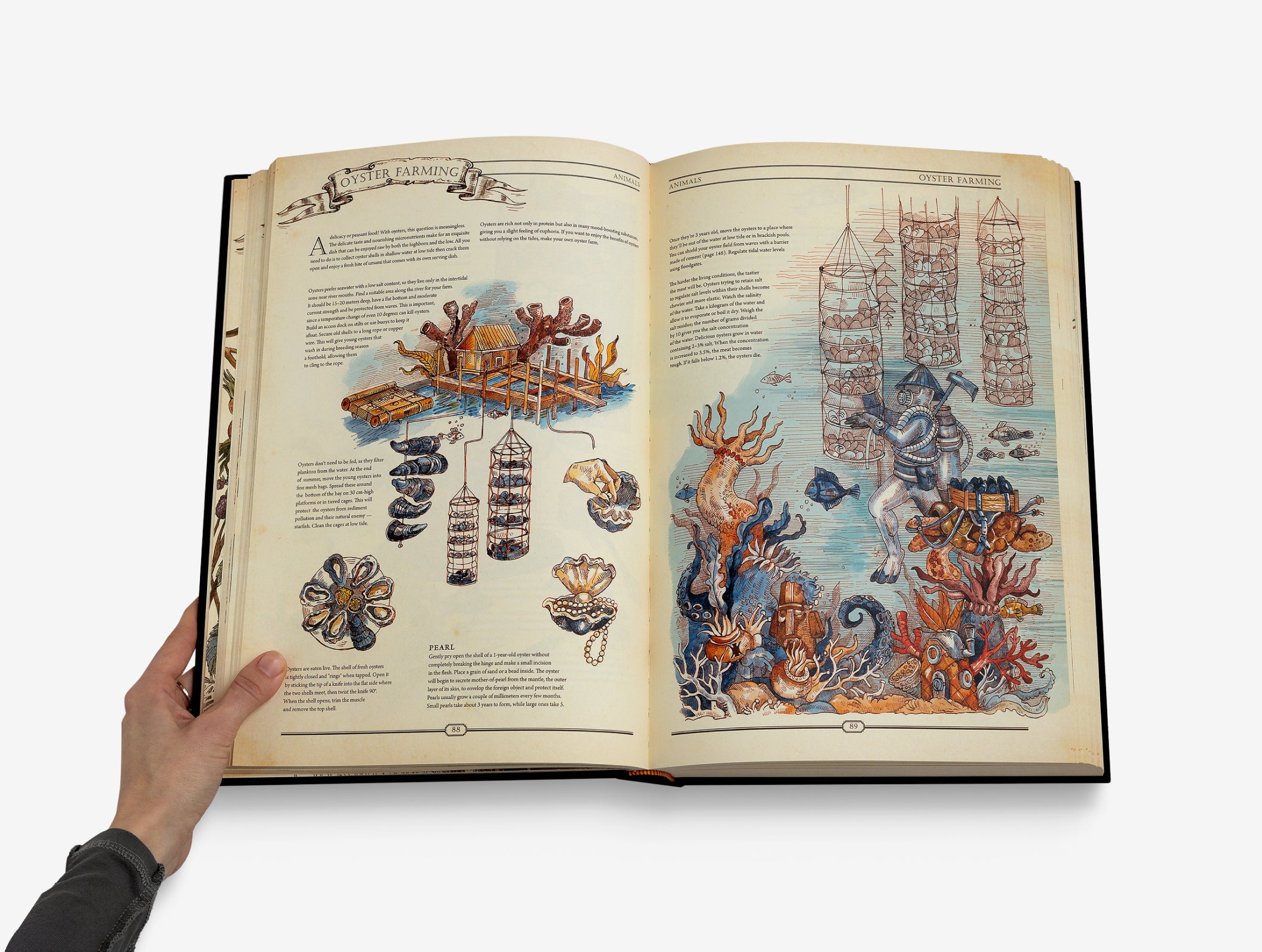 The Book. The Ultimate Guide to Rebuilding a Civilization. English Version🇬🇧 image #4