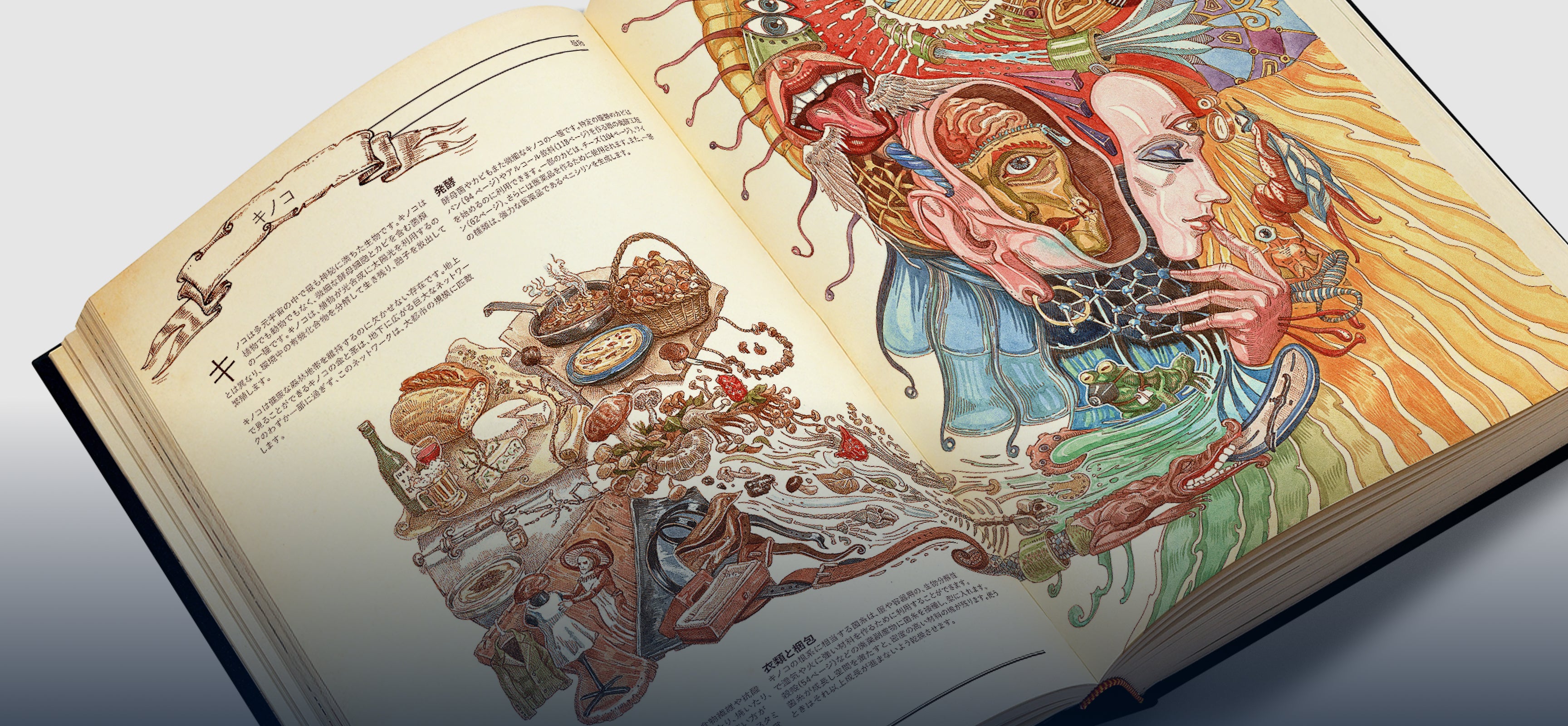 メインページ – Hungry Minds publishing