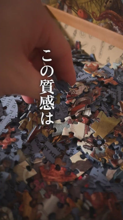世界一美しいパズル・ Octopolis\" オクトポリス パズル The Puzzle. 