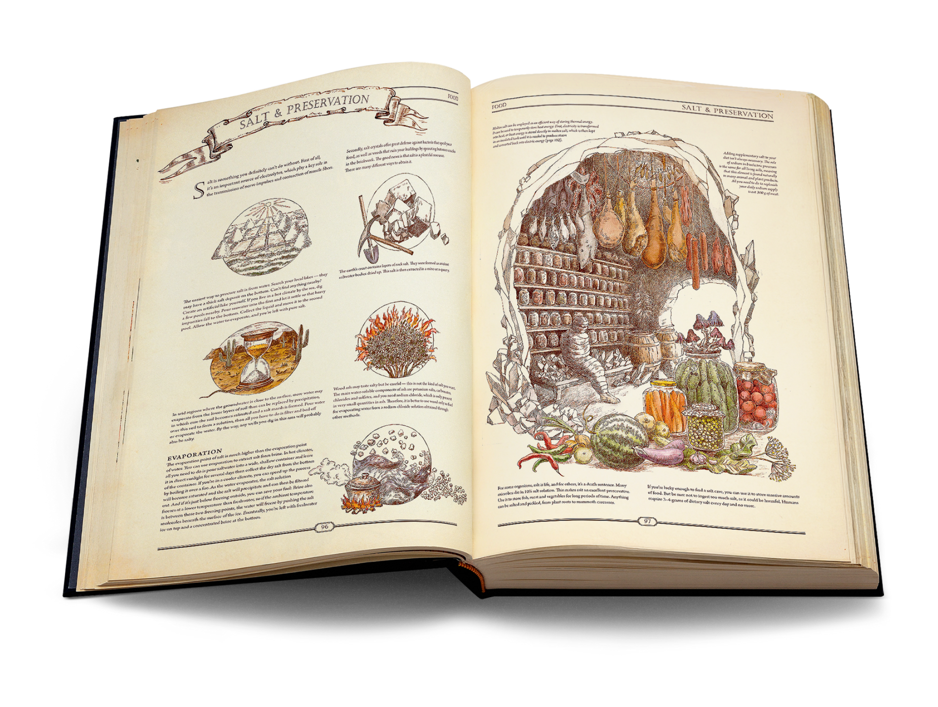 「The Book」：究極の文明再構築ガイド 英語版 image #6